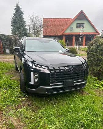 warmińsko-mazurskie Hyundai Palisade cena 250000 przebieg: 30000, rok produkcji 2023 z Ełk